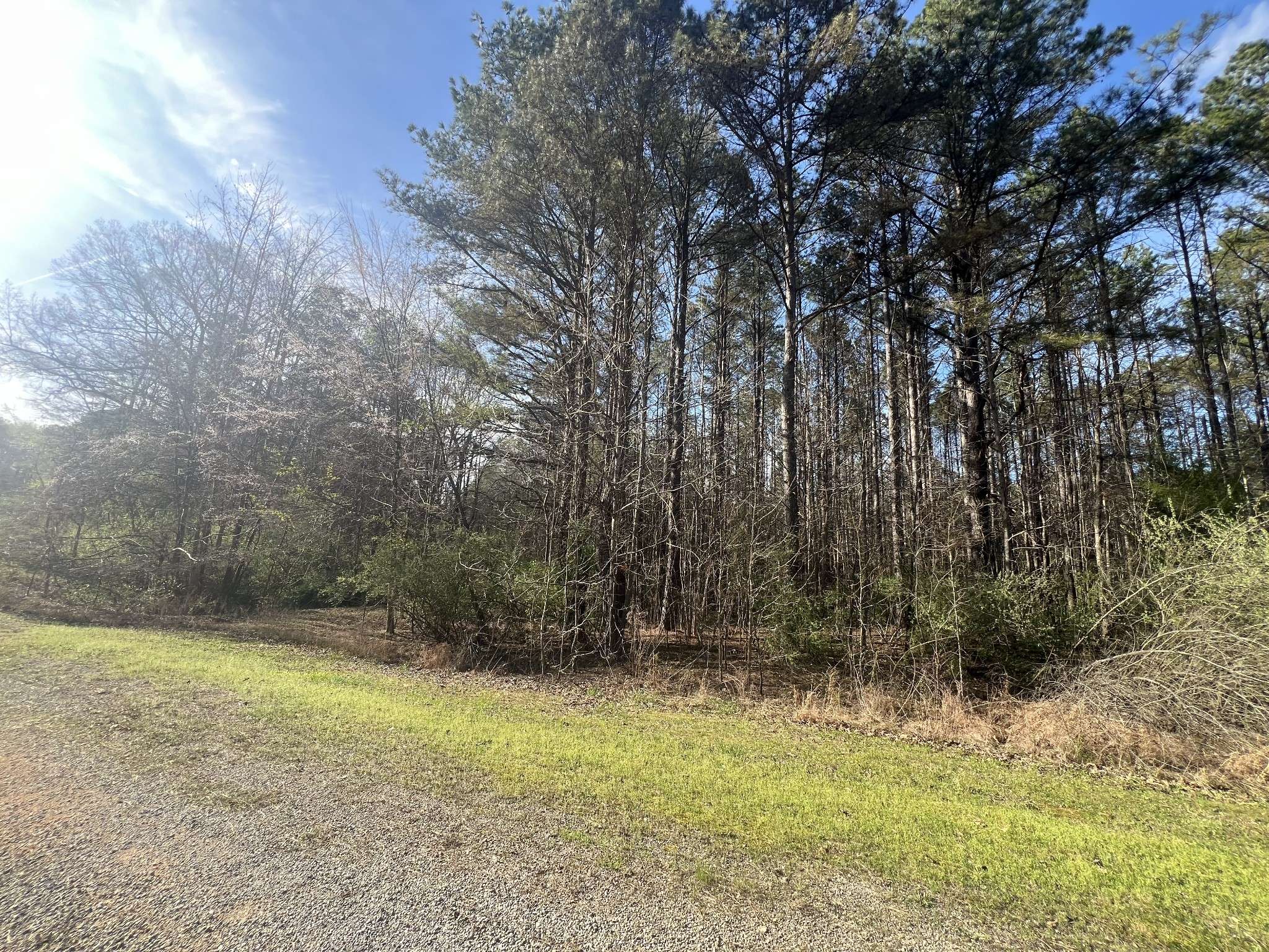 116 Zara Spook Dr, Cedar Grove, TN 38321