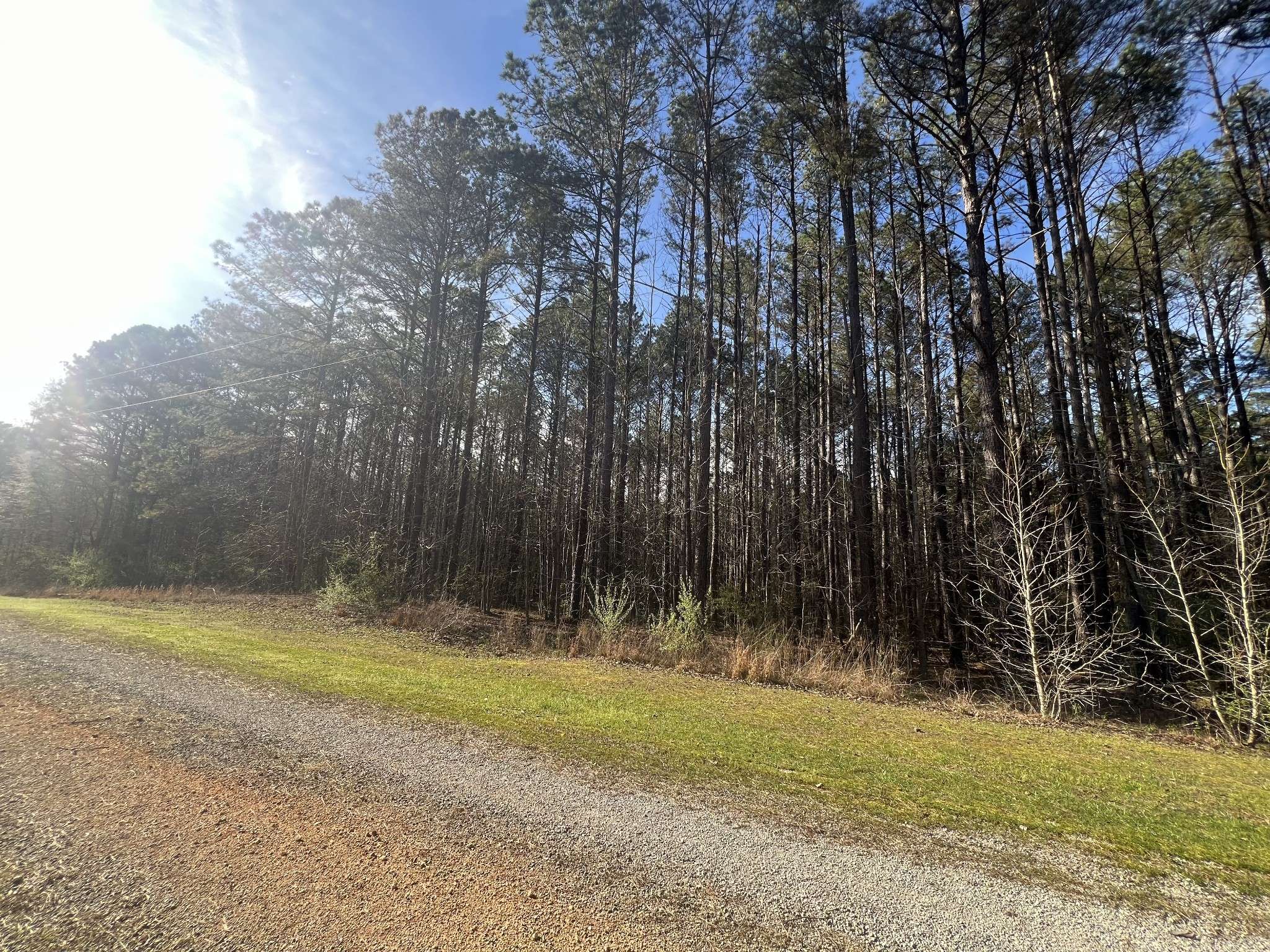 116 Zara Spook Dr, Cedar Grove, TN 38321