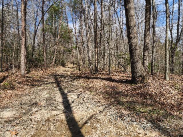 0 Buffalo Rd, Oneida, TN 37841