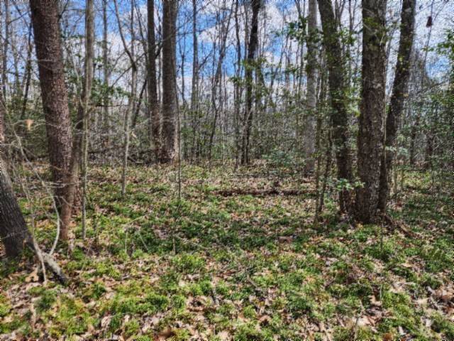 0 Buffalo Rd, Oneida, TN 37841