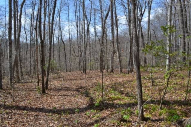 0 Buffalo Rd, Oneida, TN 37841