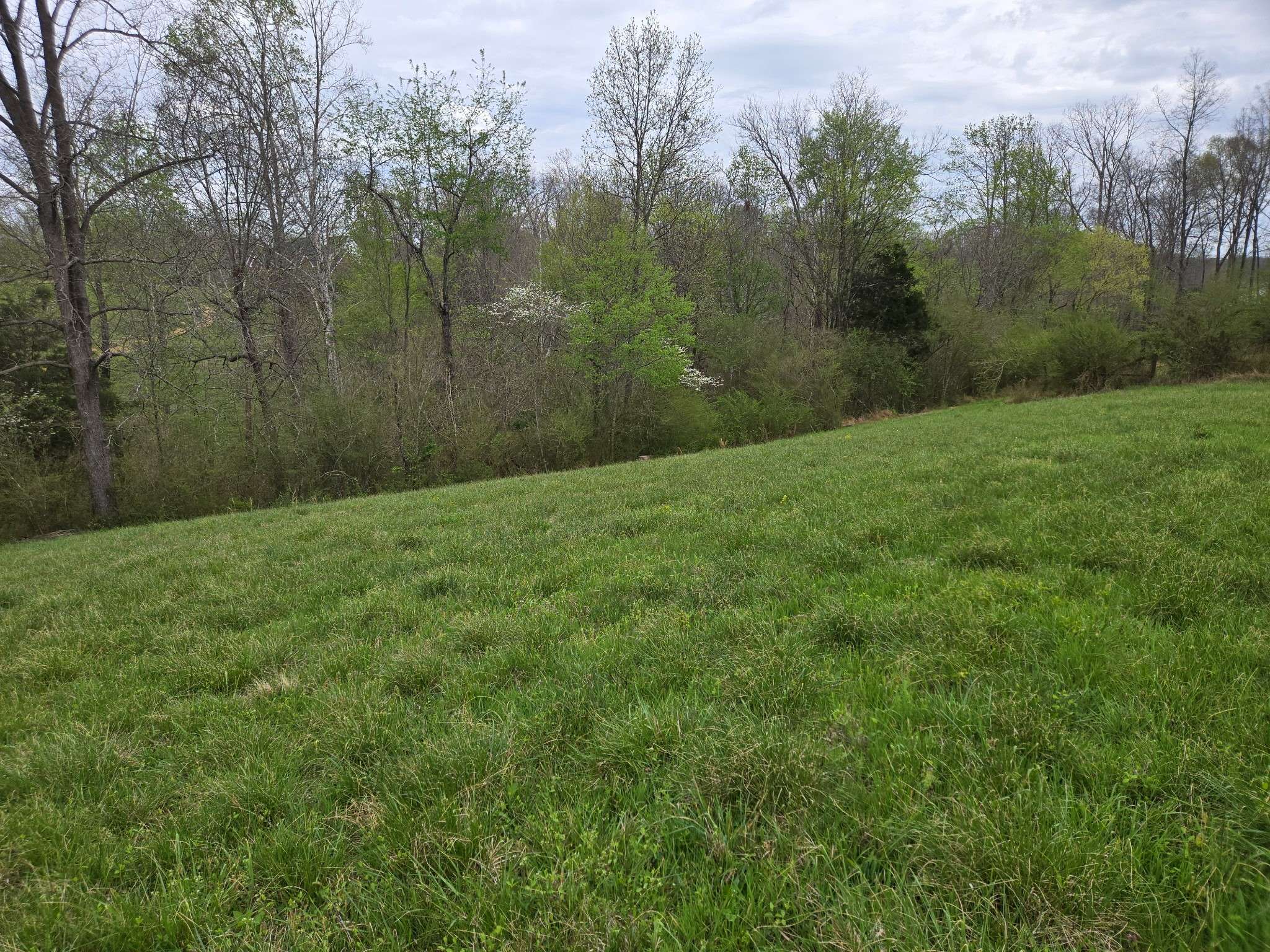 0 Cowan Road, Dickson, TN 37055
