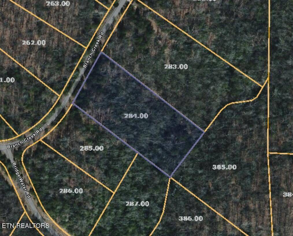 0 Branch Creek Rd, Spencer, TN 38585
