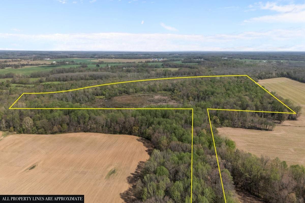 2715 Herrondale East Road, Henry, TN 38231