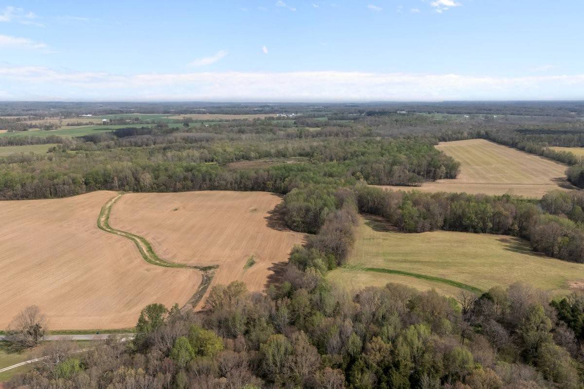 2715 Herrondale East Road, Henry, TN 38231