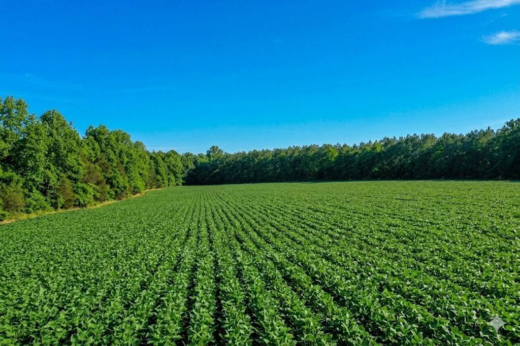 0 Doe Road, Saltillo, TN 38370