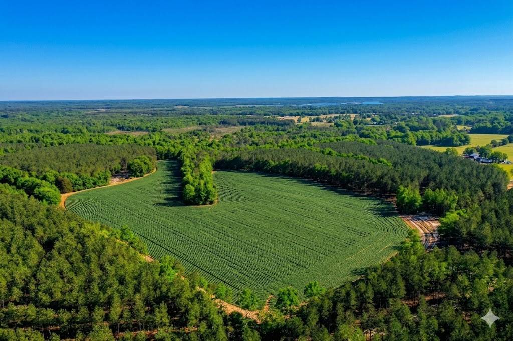 0 Doe Road, Saltillo, TN 38370