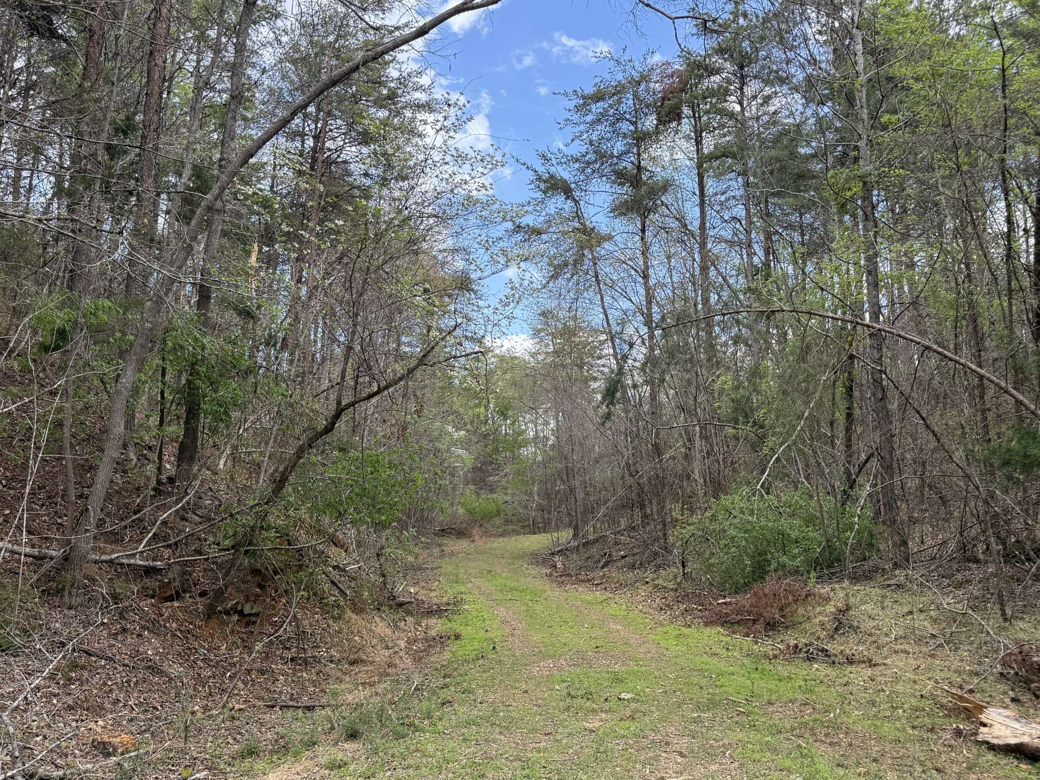 0 Allens Creek Rd, Hohenwald, TN 38462