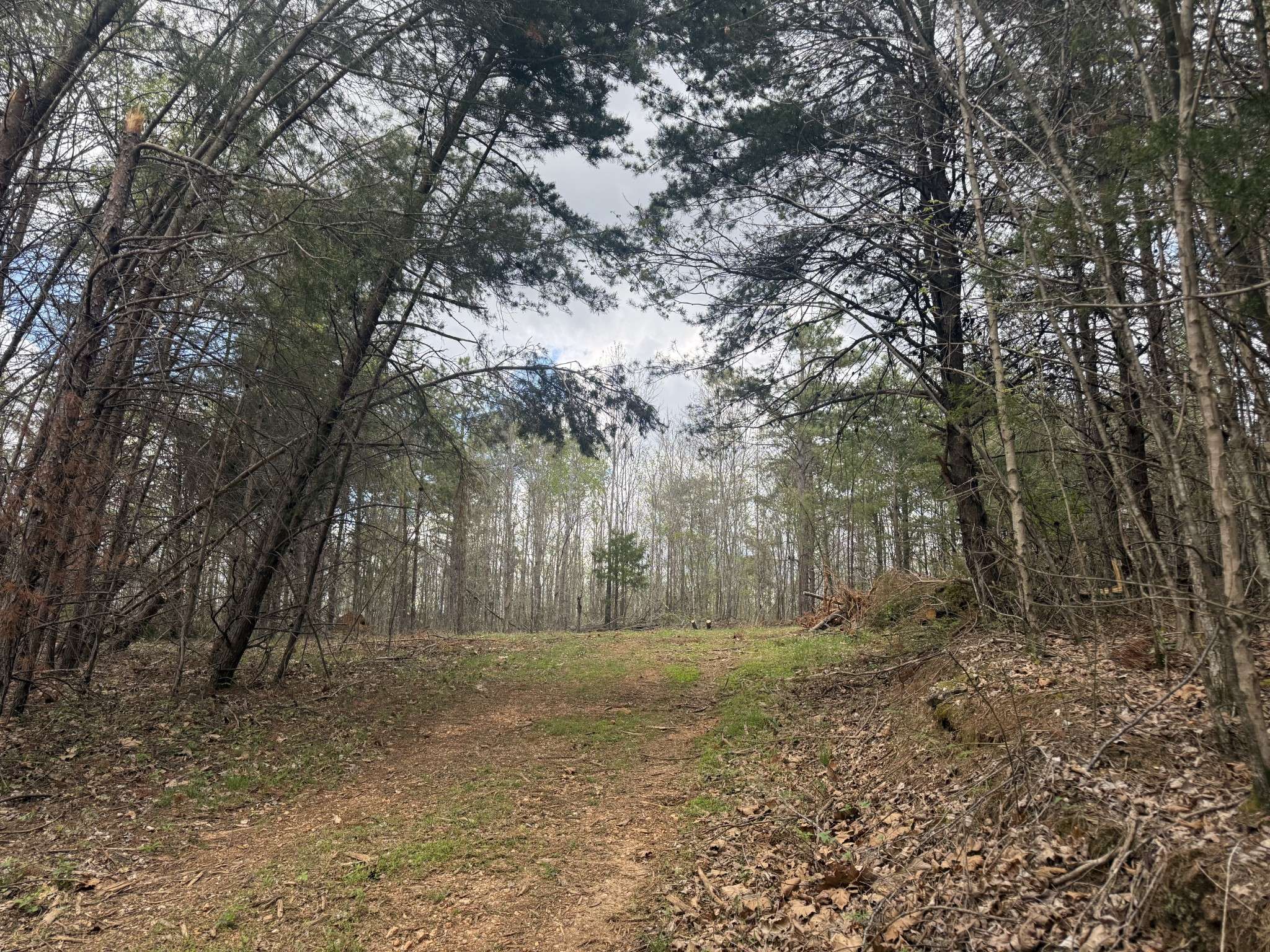 0 Allens Creek Rd, Hohenwald, TN 38462