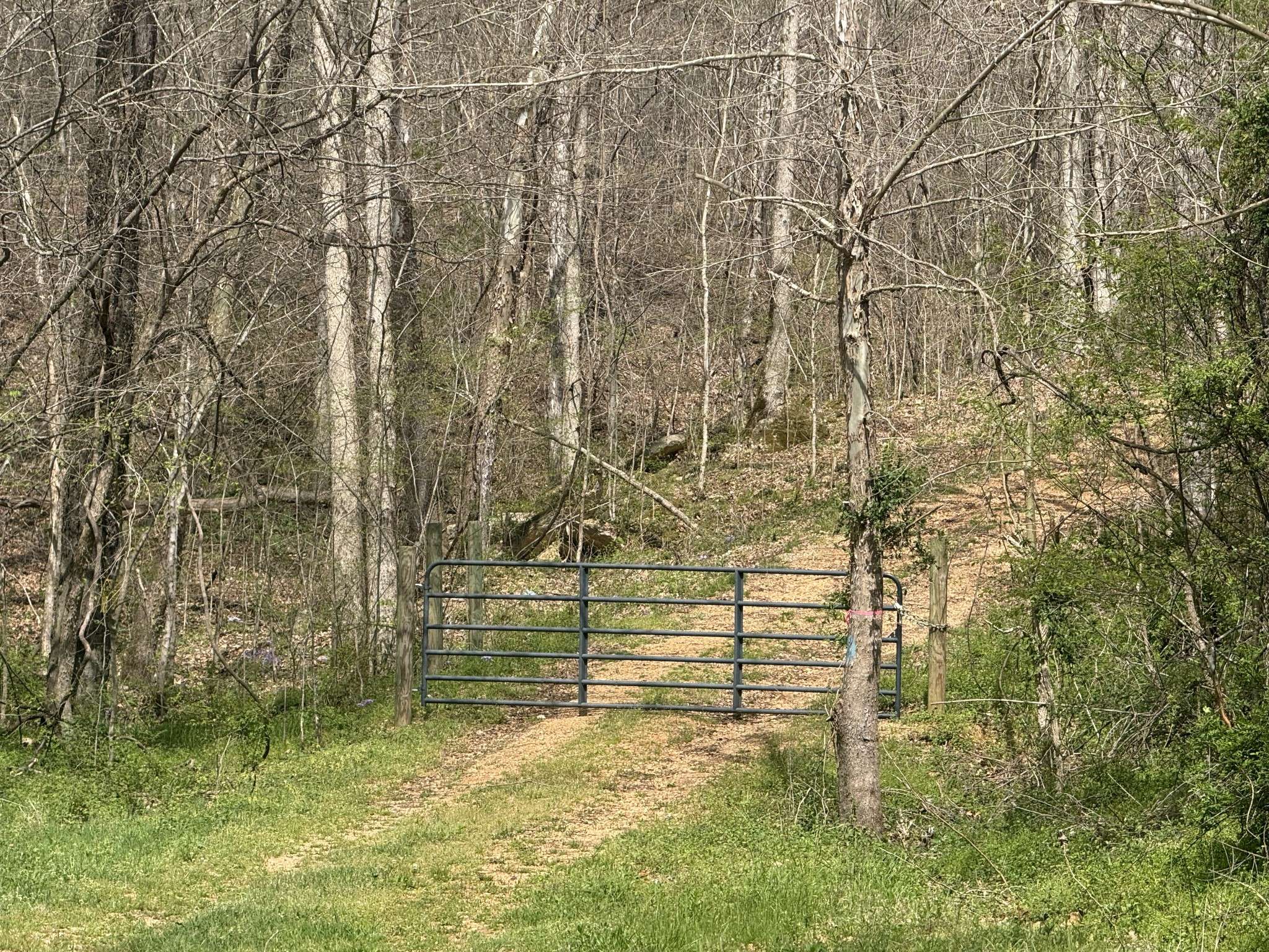 0 Allens Creek Rd, Hohenwald, TN 38462