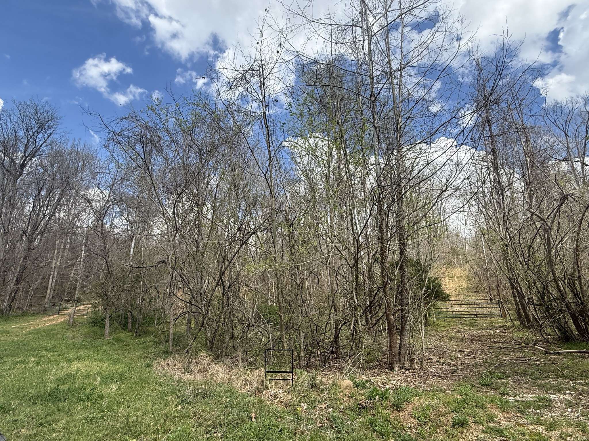 0 Allens Creek Rd, Hohenwald, TN 38462