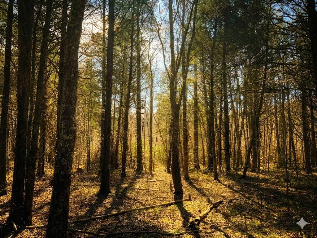 0 Elk Drive, Hurricane Mills, TN 37078