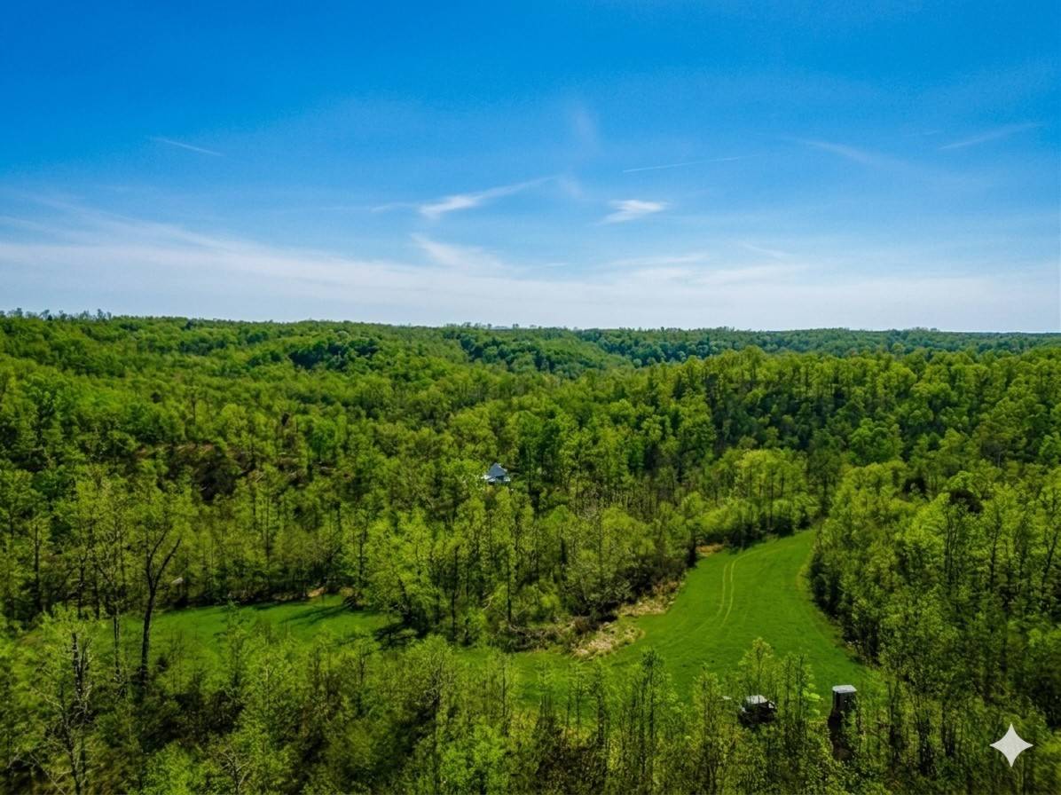 0 Elk Drive, Hurricane Mills, TN 37078