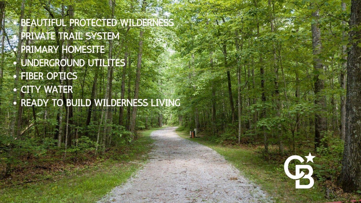 0 Woodfern LN, Coalmont, TN 37313