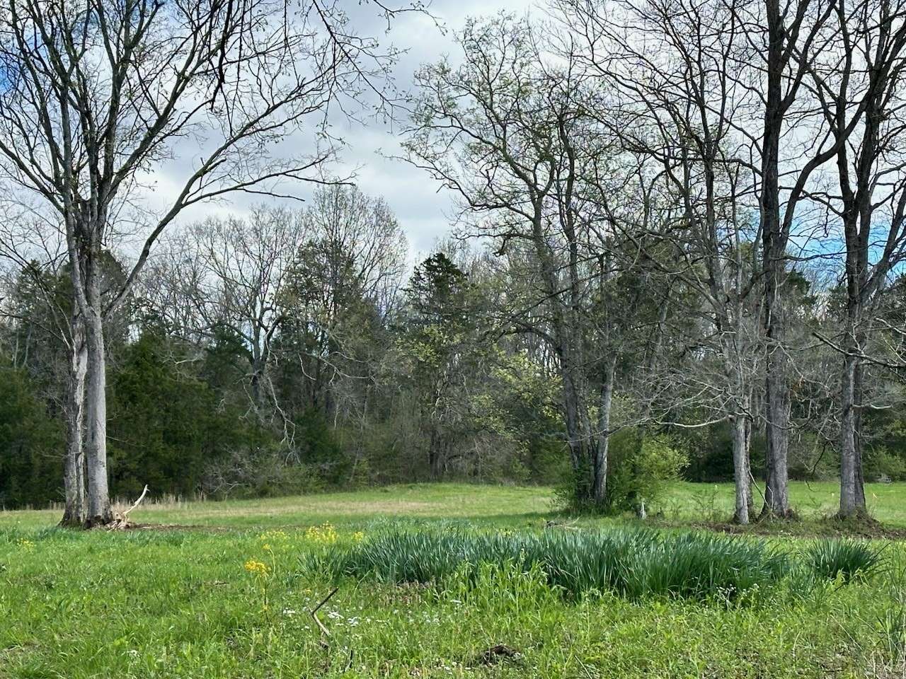 0 Campbellsville Road, Pulaski, TN 38478