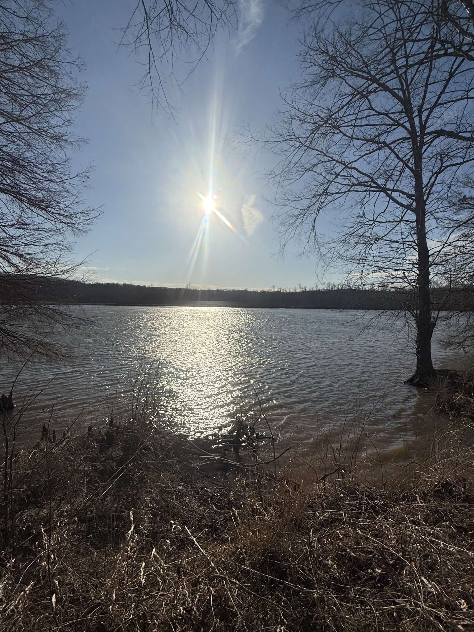 415 Hardin Bottom Rd, Clifton, TN 38425