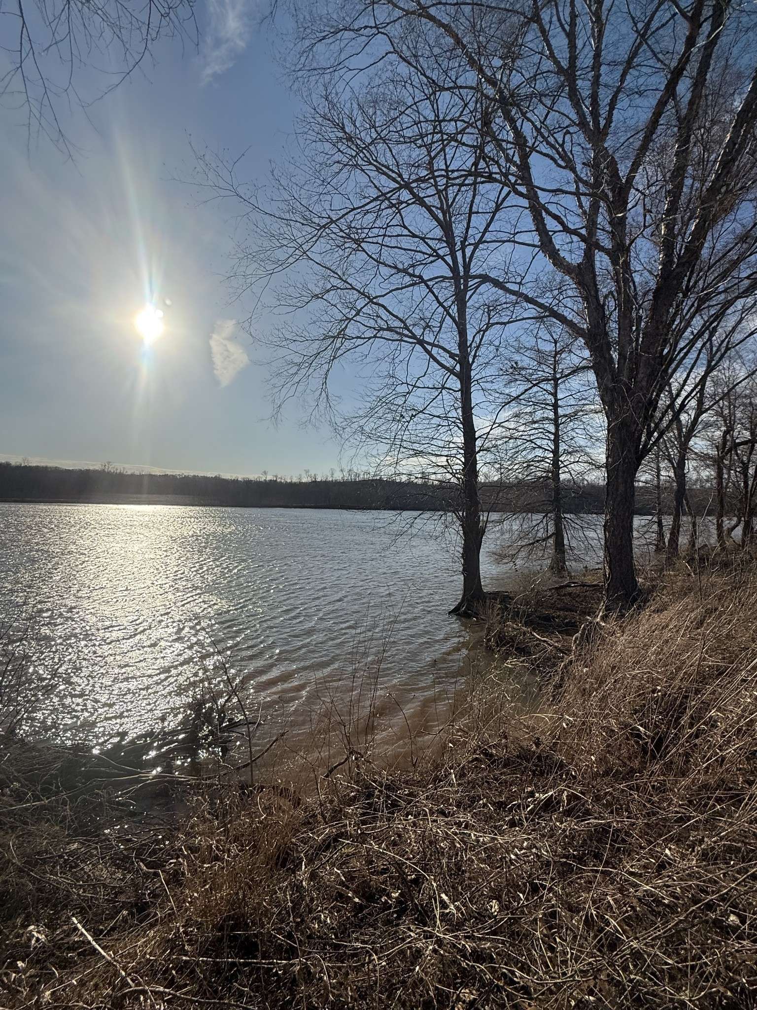 415 Hardin Bottom Rd, Clifton, TN 38425