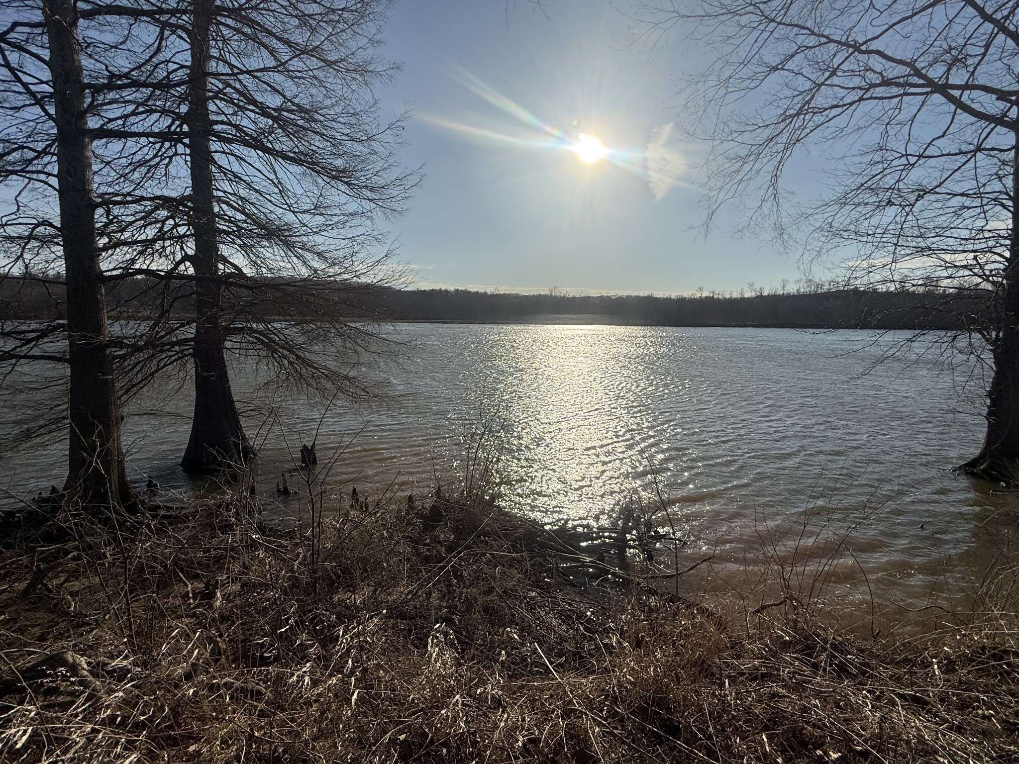 415 Hardin Bottom Rd, Clifton, TN 38425