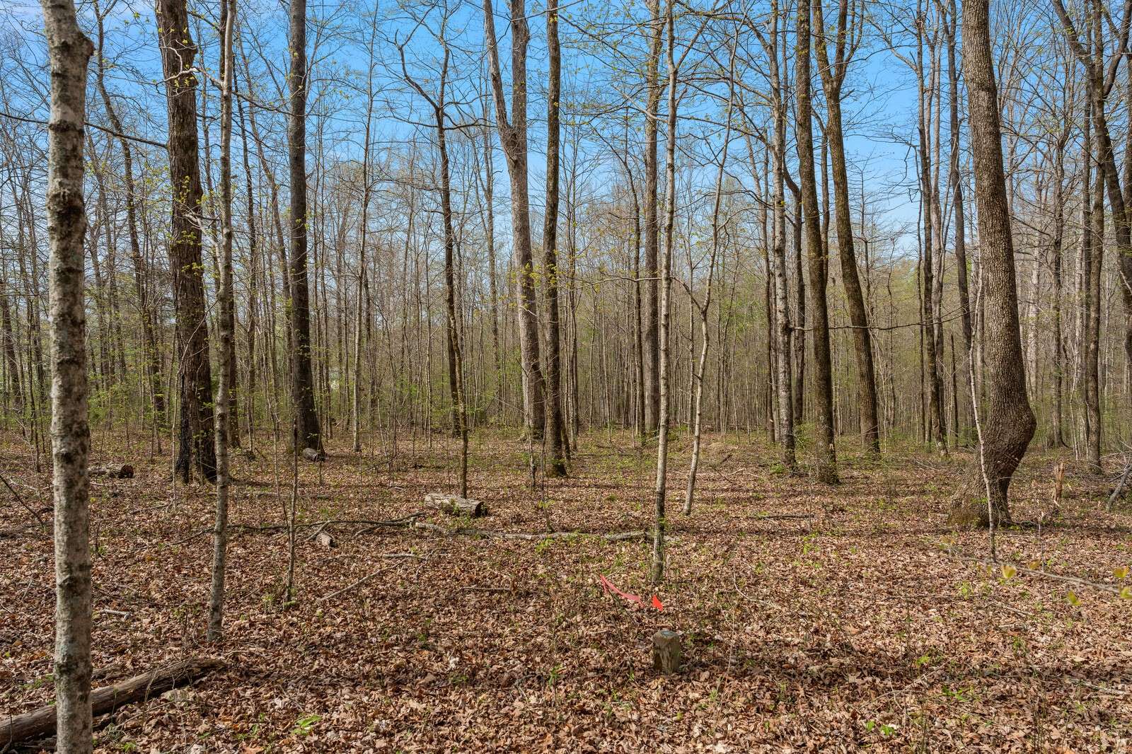 0 Natchez Trace Rd, Franklin, TN 37064