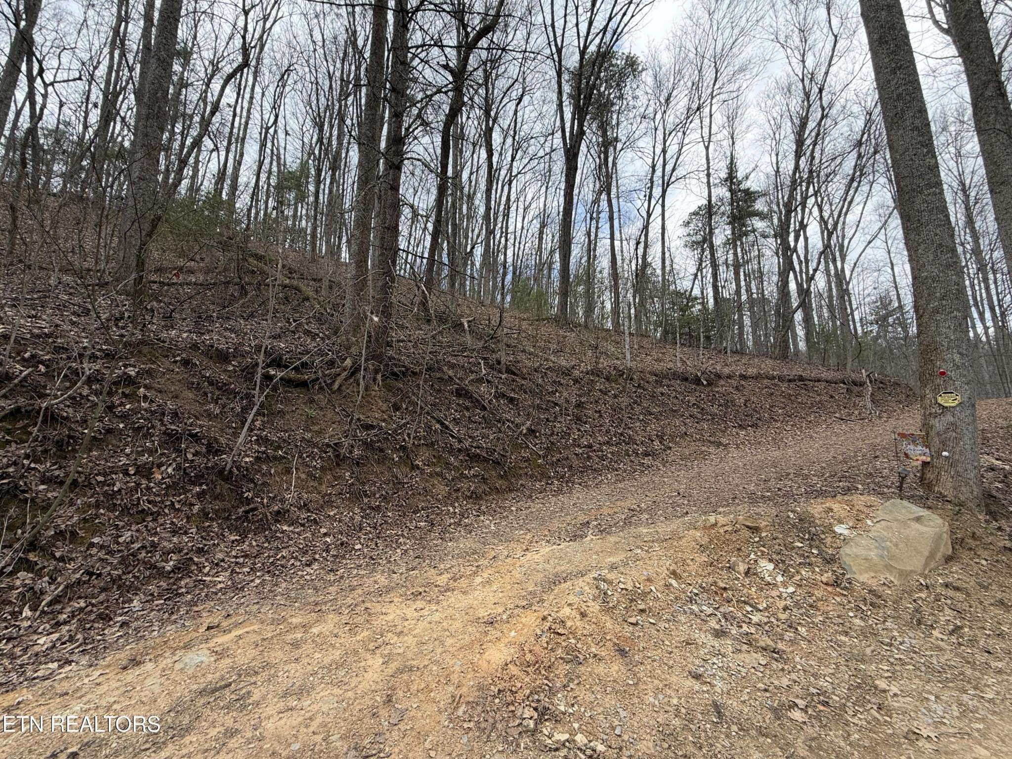 401 Reece Hollow Rd, Del Rio, TN 37727