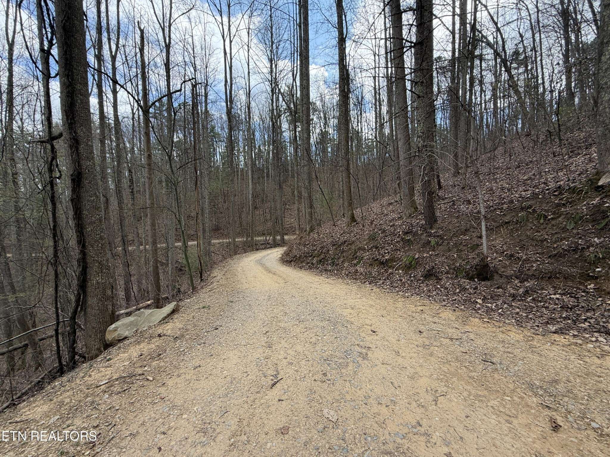 401 Reece Hollow Rd, Del Rio, TN 37727