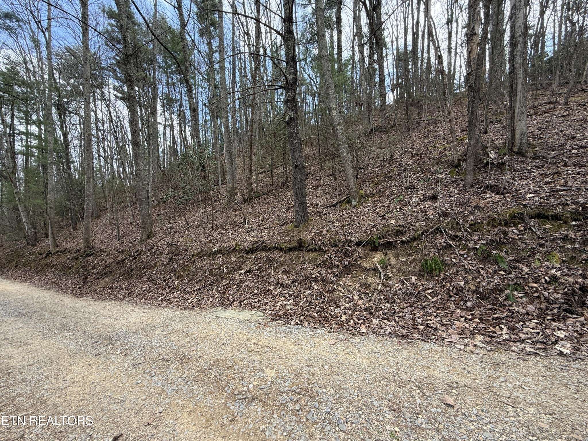 401 Reece Hollow Rd, Del Rio, TN 37727