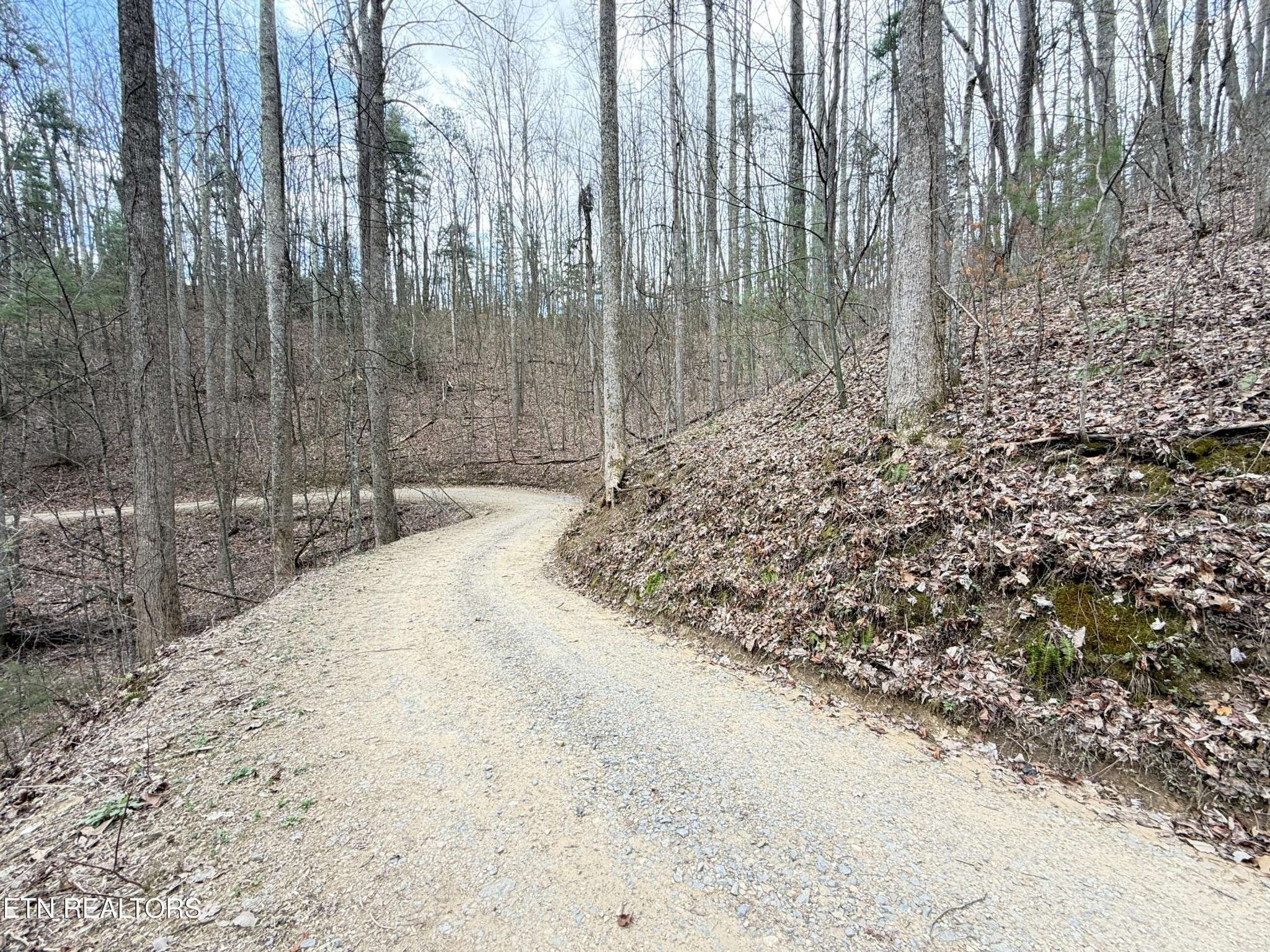 401 Reece Hollow Rd, Del Rio, TN 37727