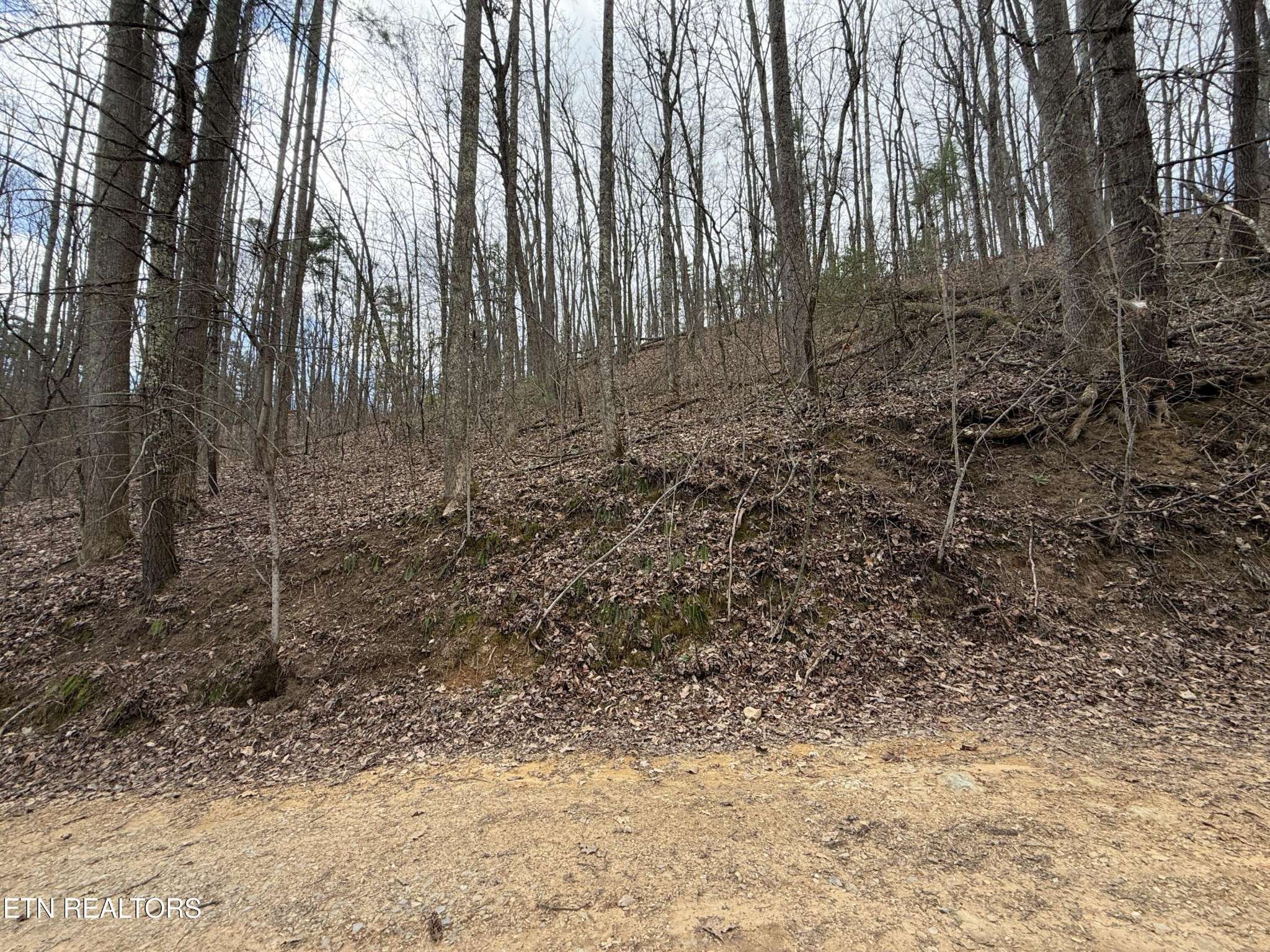 401 Reece Hollow Rd, Del Rio, TN 37727
