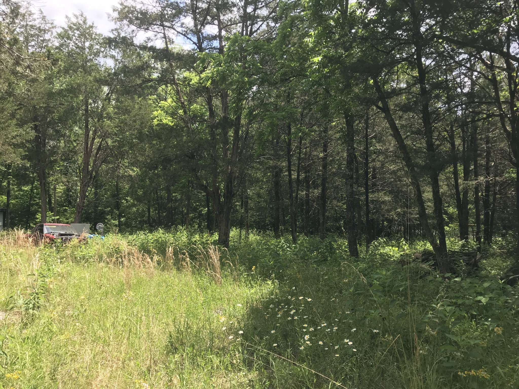 1989 Luther Sharp Rd, Columbia, TN 38401