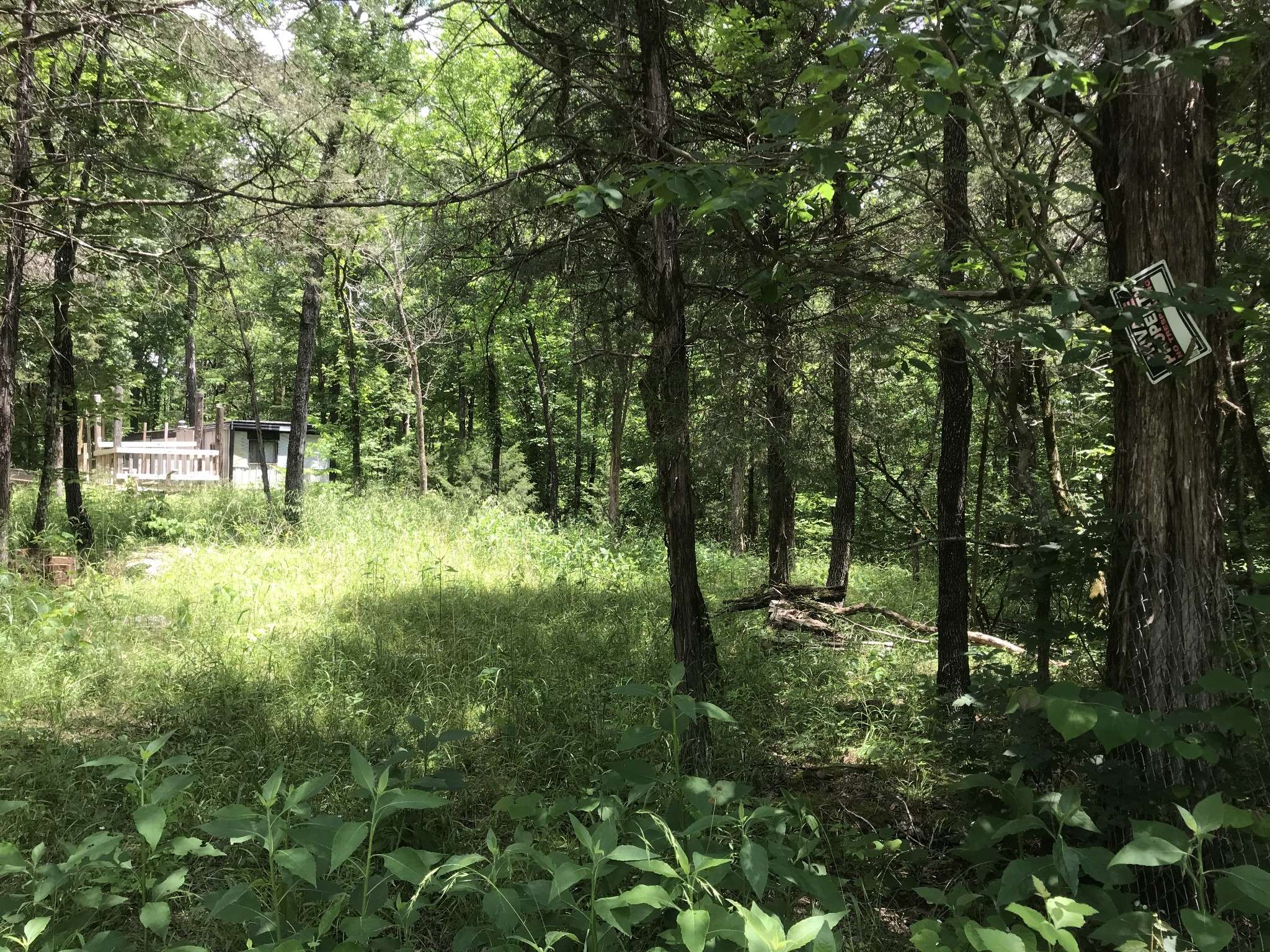 1989 Luther Sharp Rd, Columbia, TN 38401