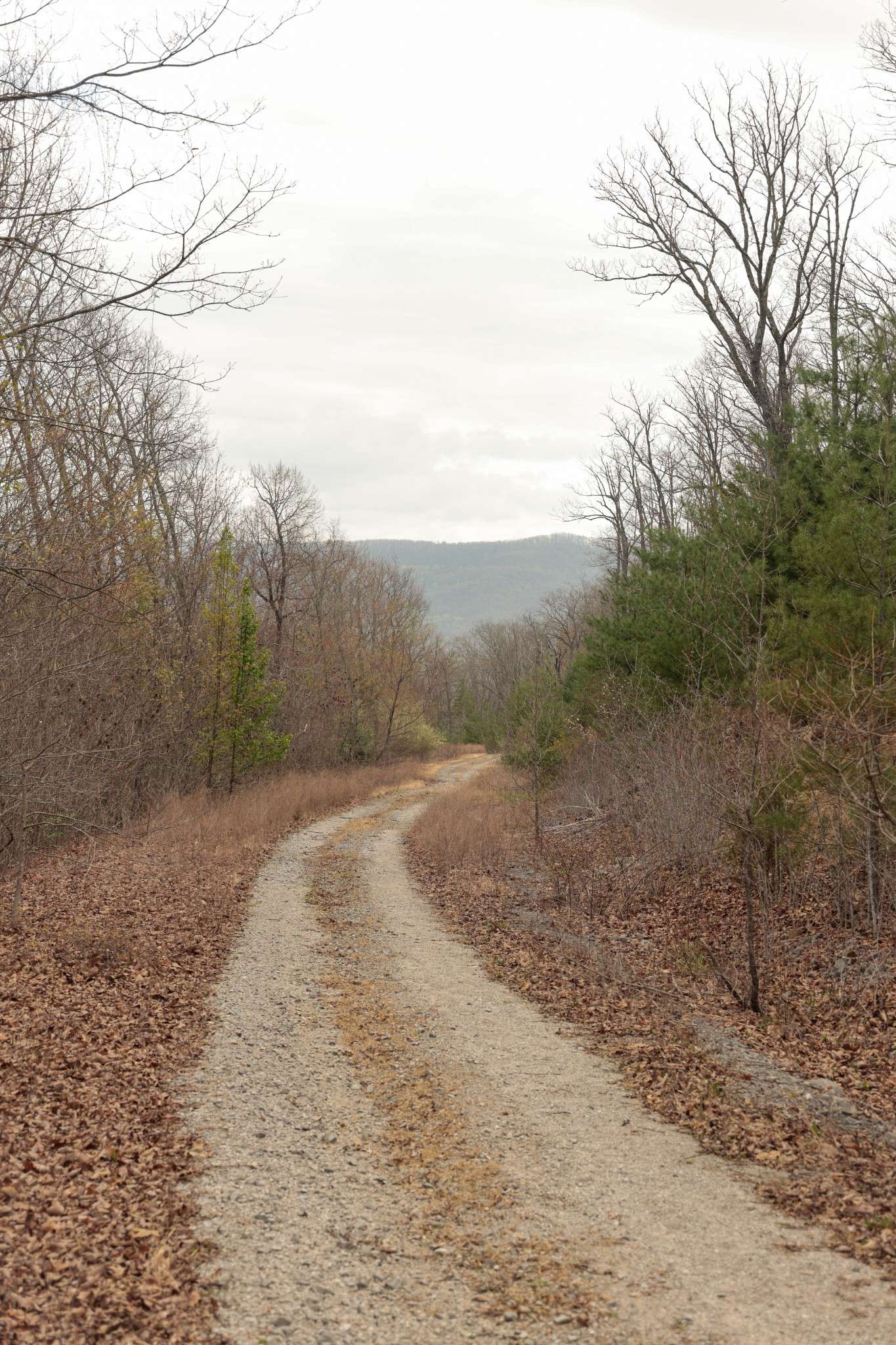 0 Green Ridge Trail, Oakdale, TN 37829