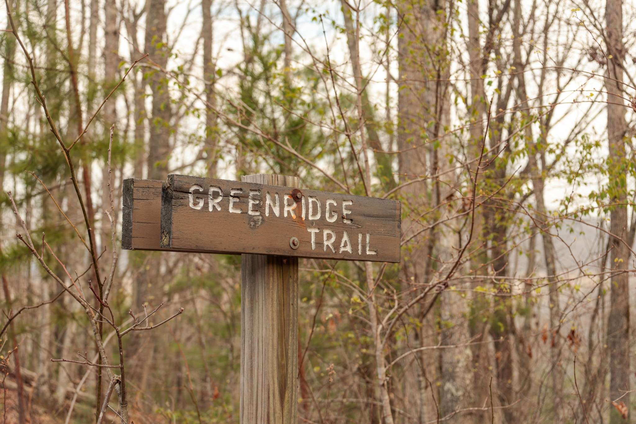 0 Green Ridge Trail, Oakdale, TN 37829