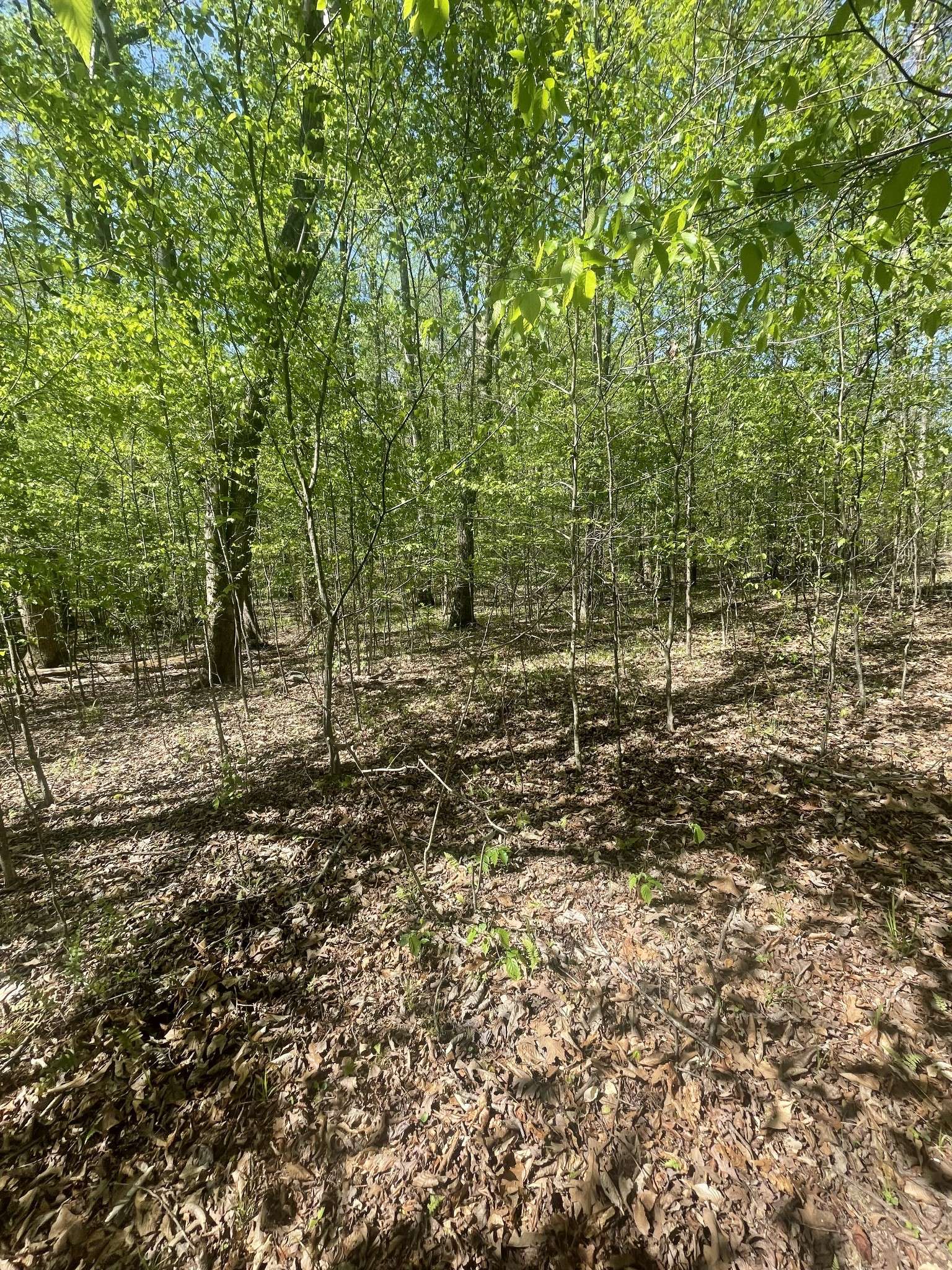 389 Excalibur Trl, Cedar Grove, TN 38321