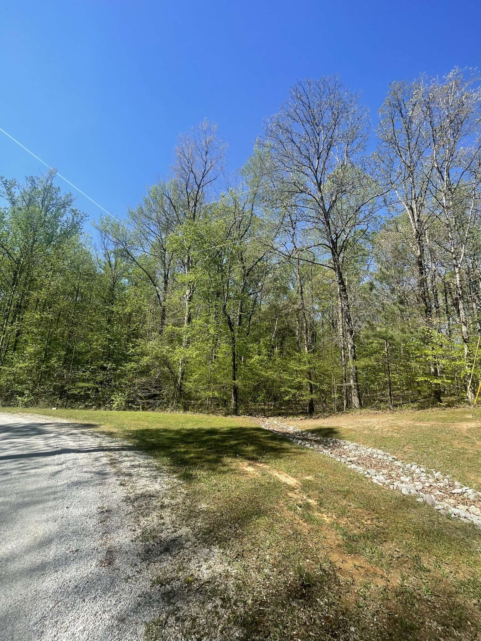 389 Excalibur Trl, Cedar Grove, TN 38321
