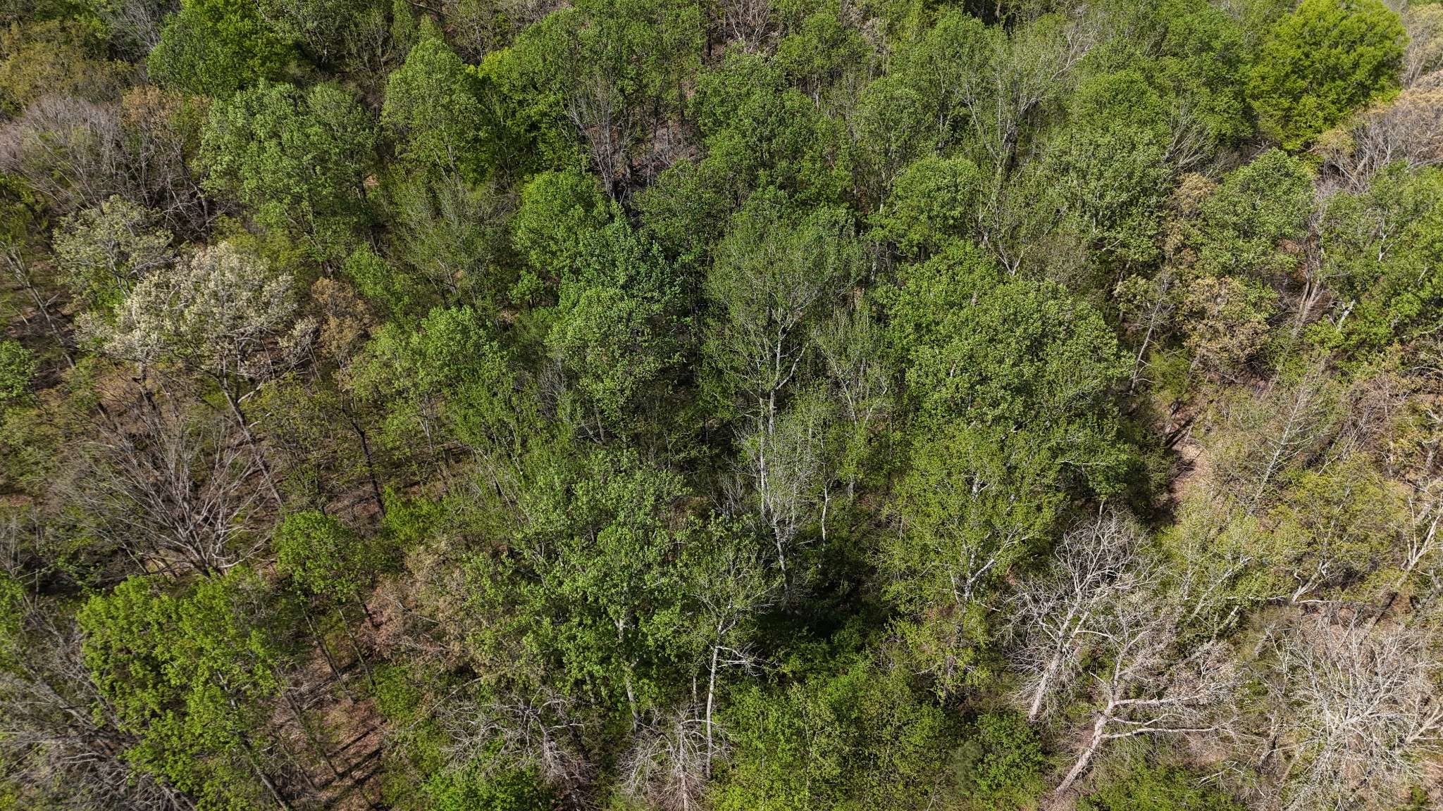 389 Excalibur Trl, Cedar Grove, TN 38321
