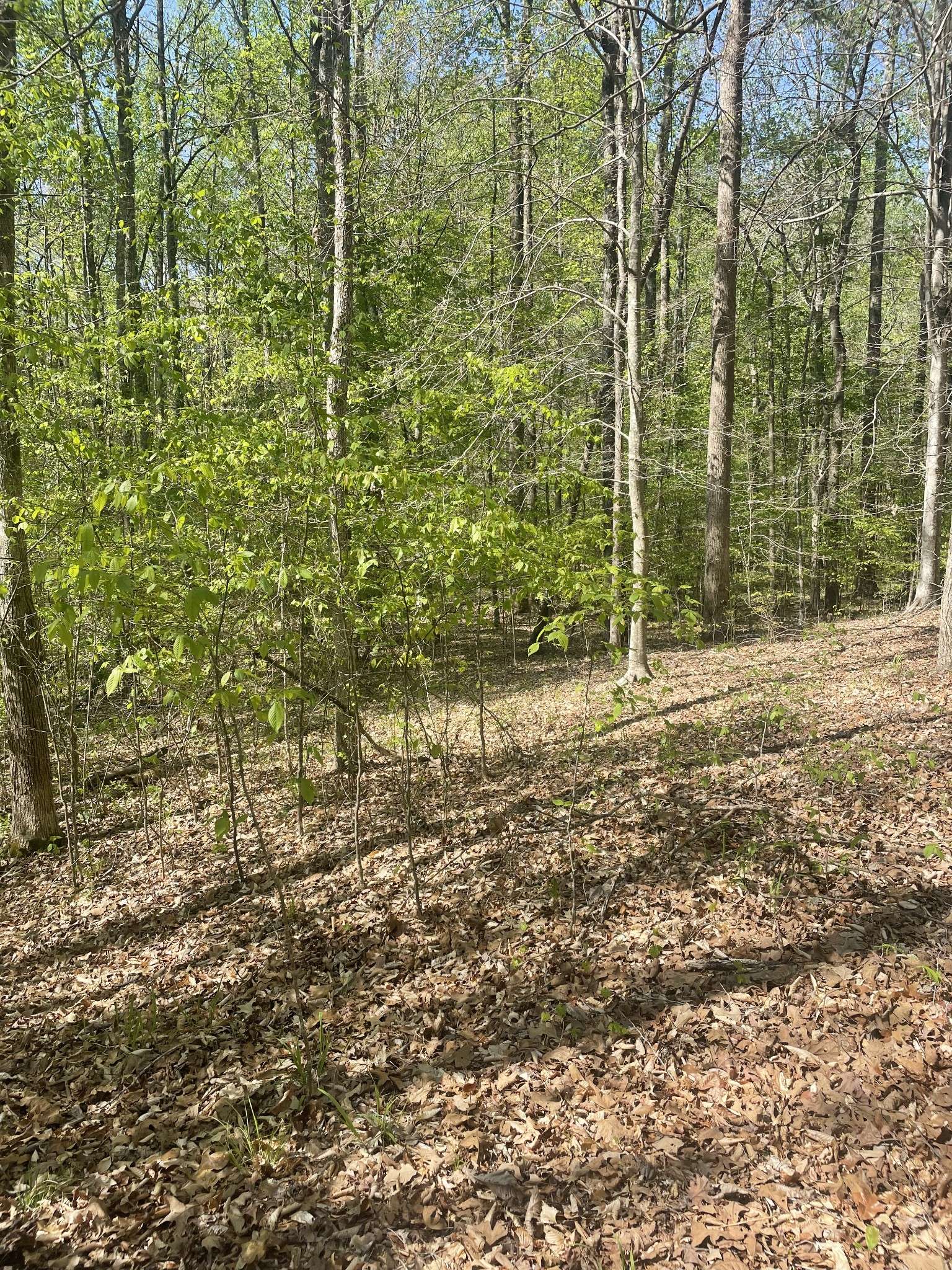 389 Excalibur Trl, Cedar Grove, TN 38321