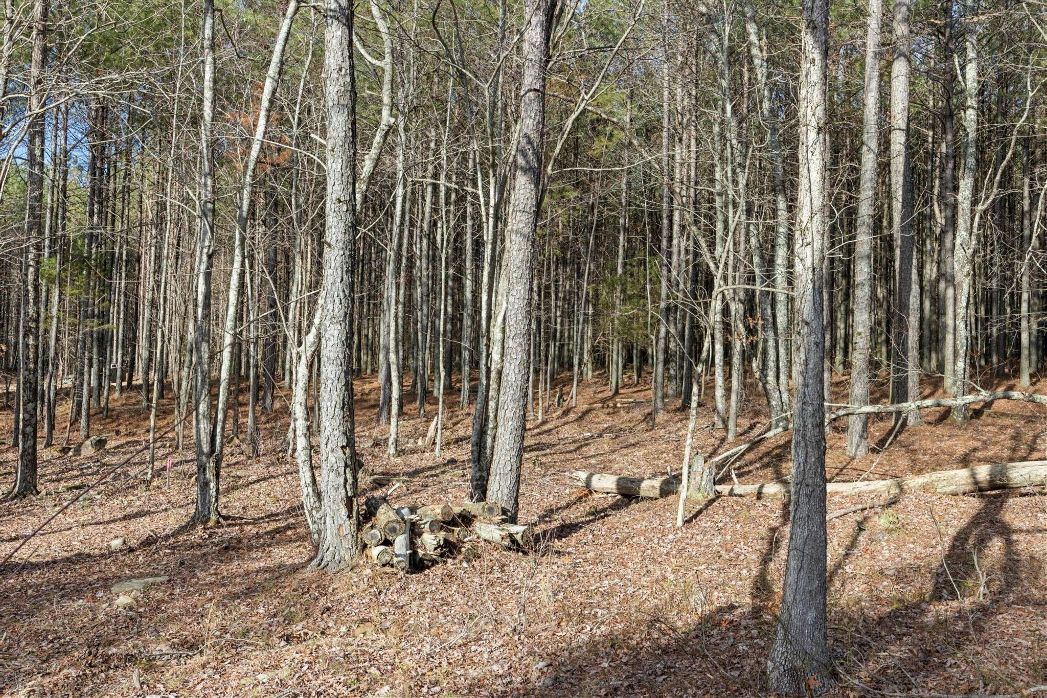 0 Raulston Falls Road, Jasper, TN 37347