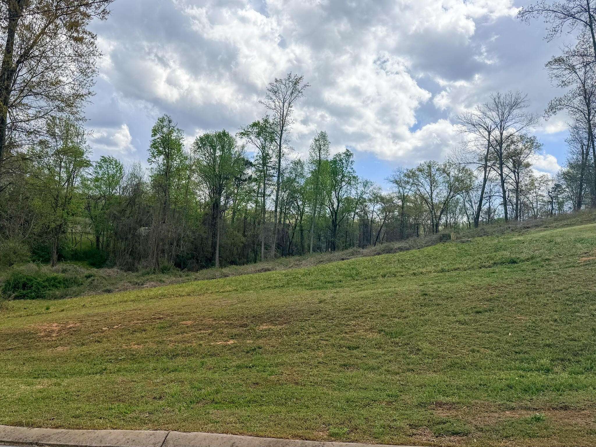 0 Woodland Drive, Jasper, TN 37347