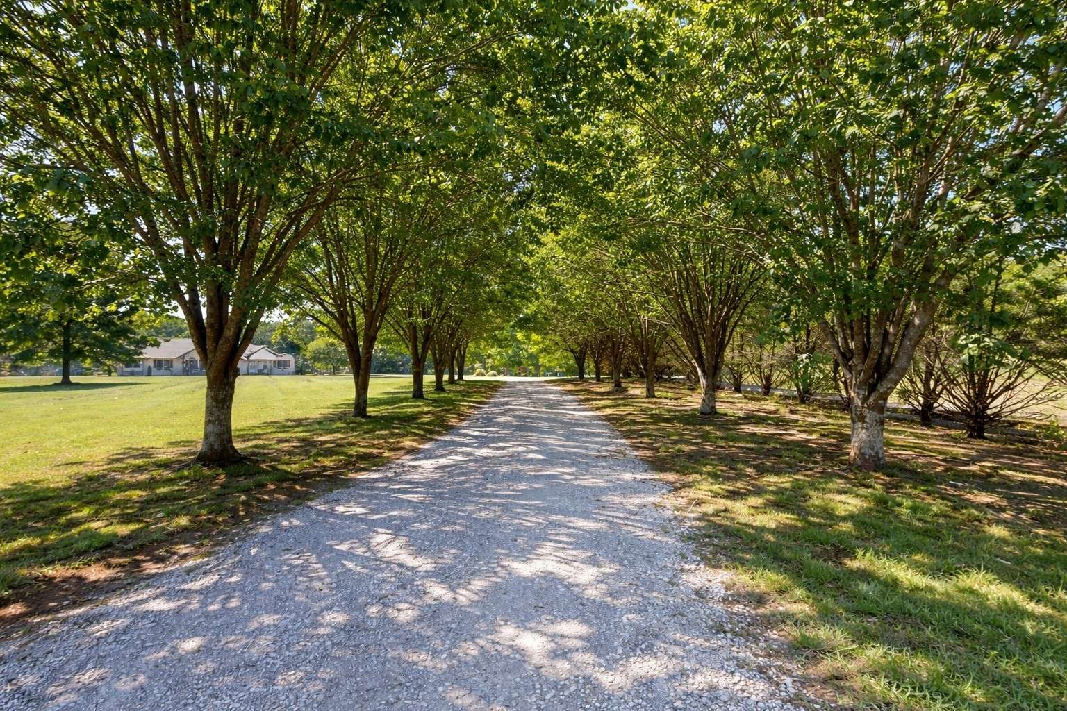 2622 Poplar Knoll Dr, Columbia, TN 38401
