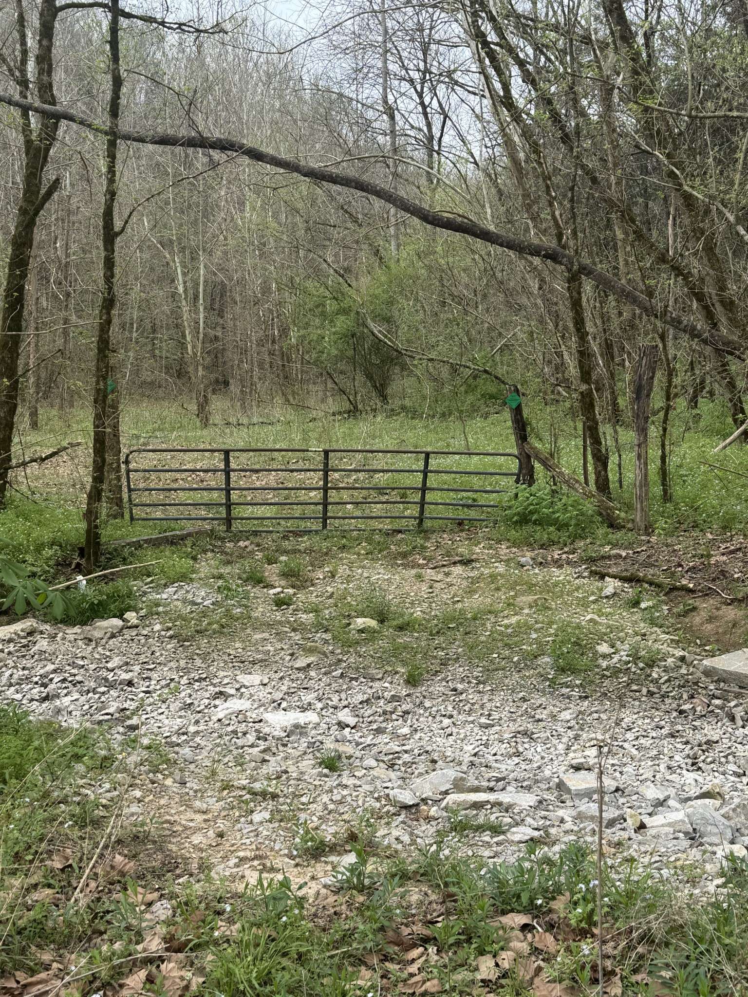 0 McBroom Branch Rd, Baxter, TN 38544