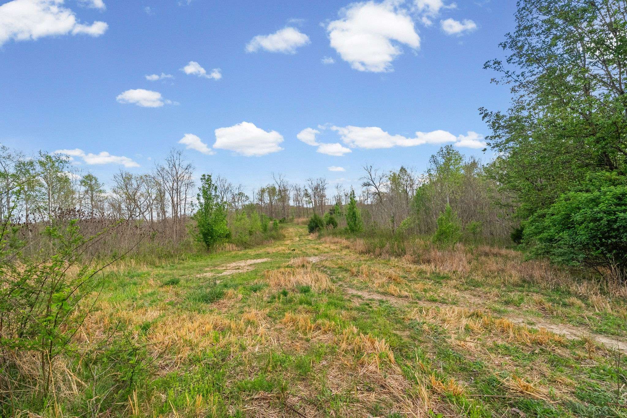 2 Bud Parker Lane, Erin, TN 37061