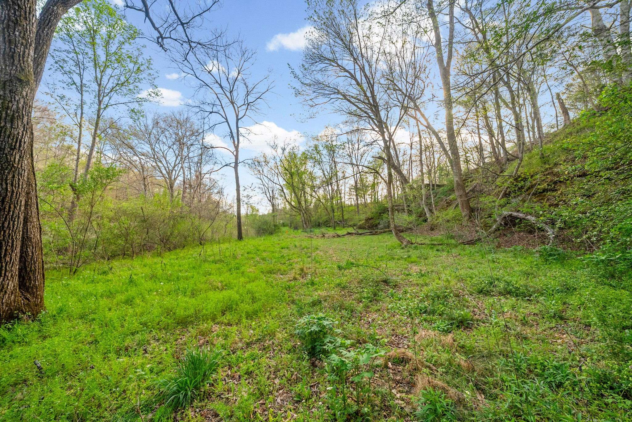 1 Bud Parker Lane, Erin, TN 37061