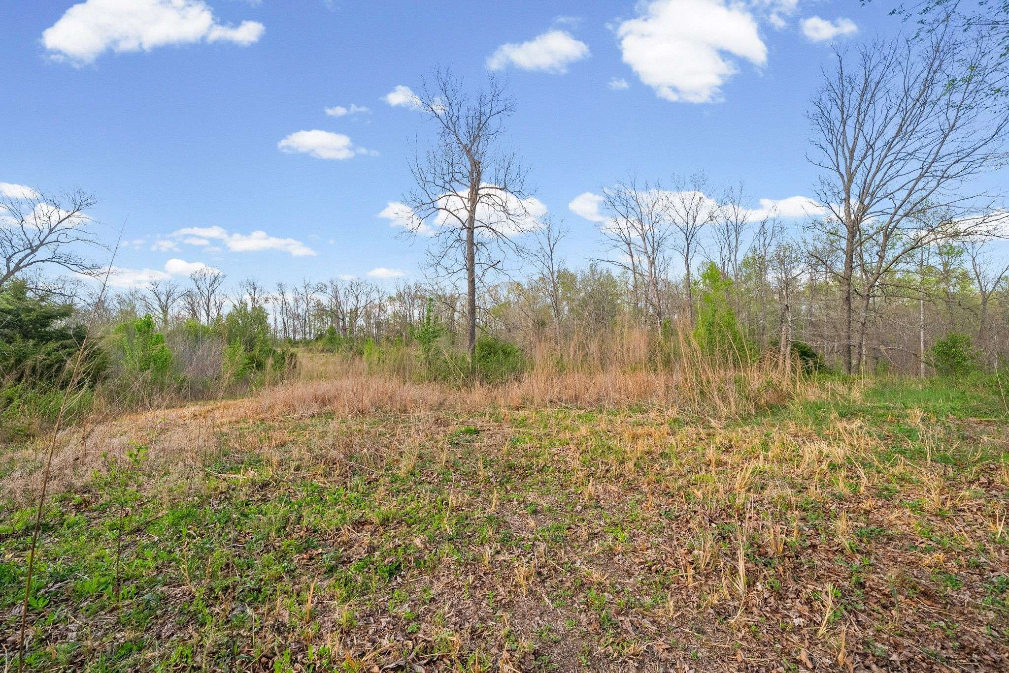 3 Bud Parker Lane, Erin, TN 37061