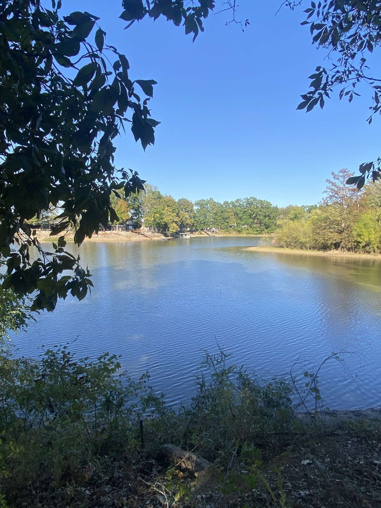 442 Duck Blind Rd, Clifton, TN 38425