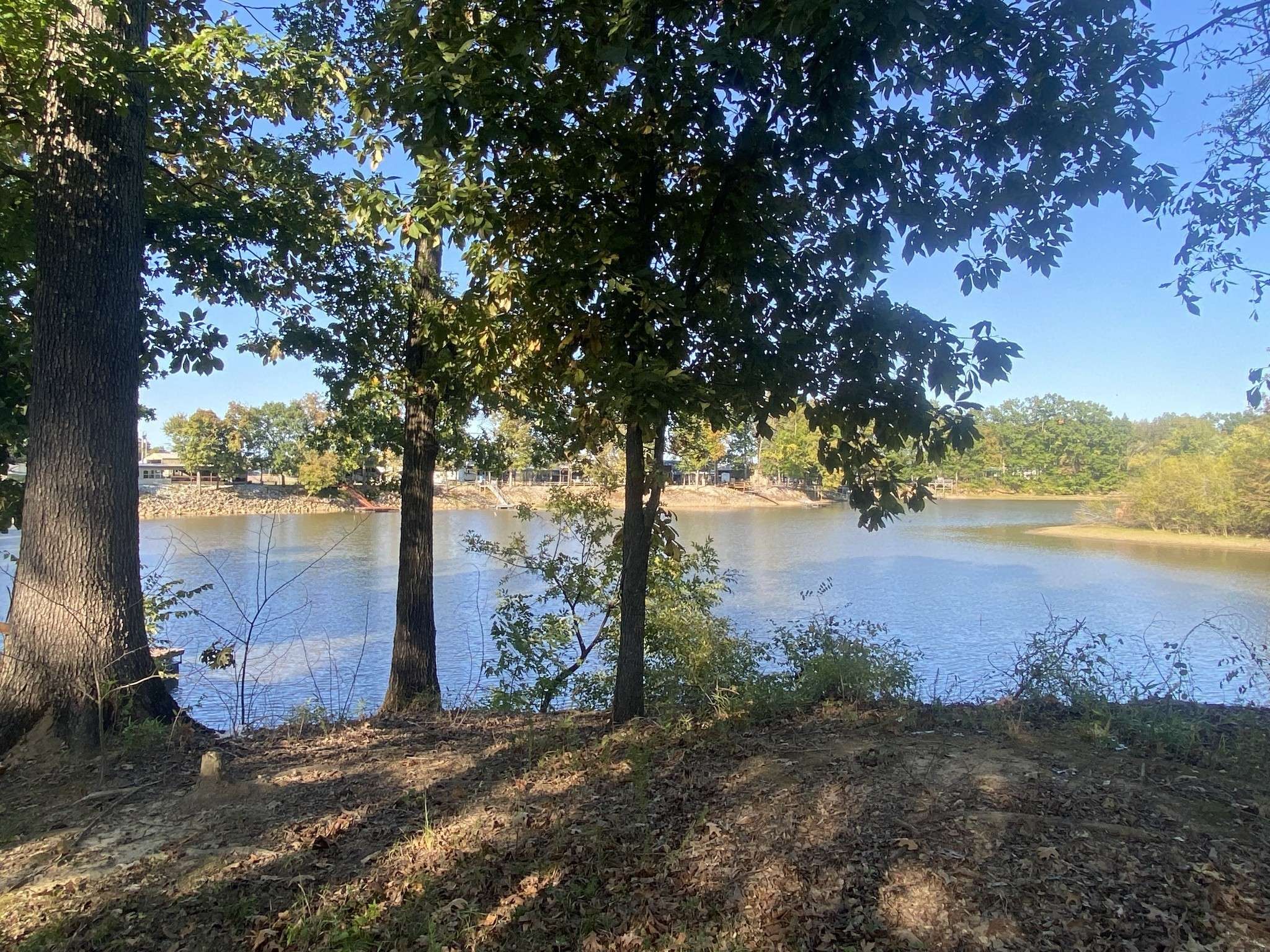 442 Duck Blind Rd, Clifton, TN 38425
