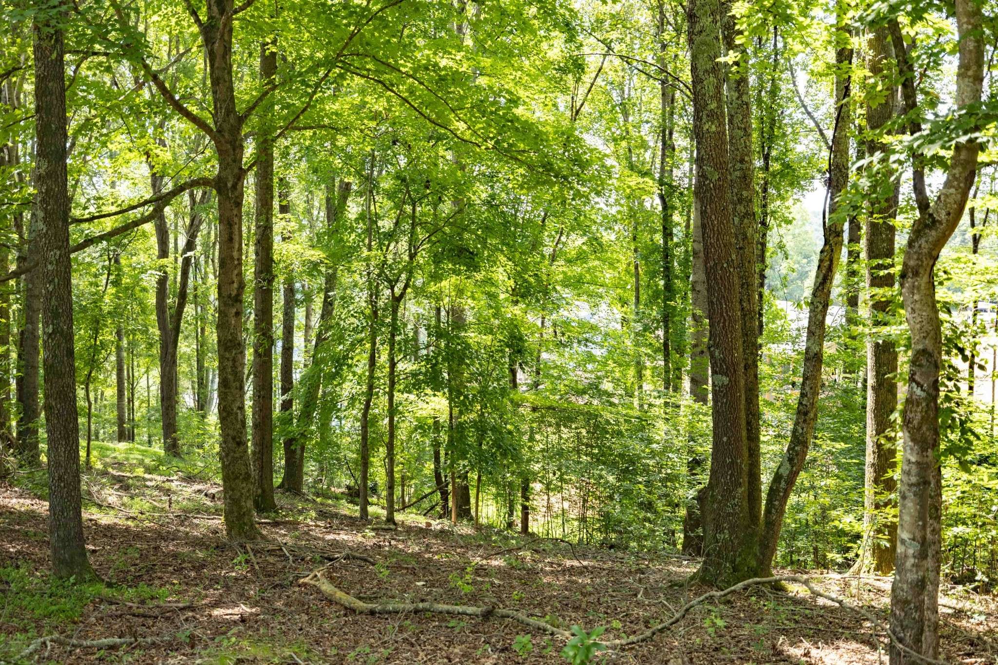 0 E Rockcrest Cir, Winchester, TN 37398