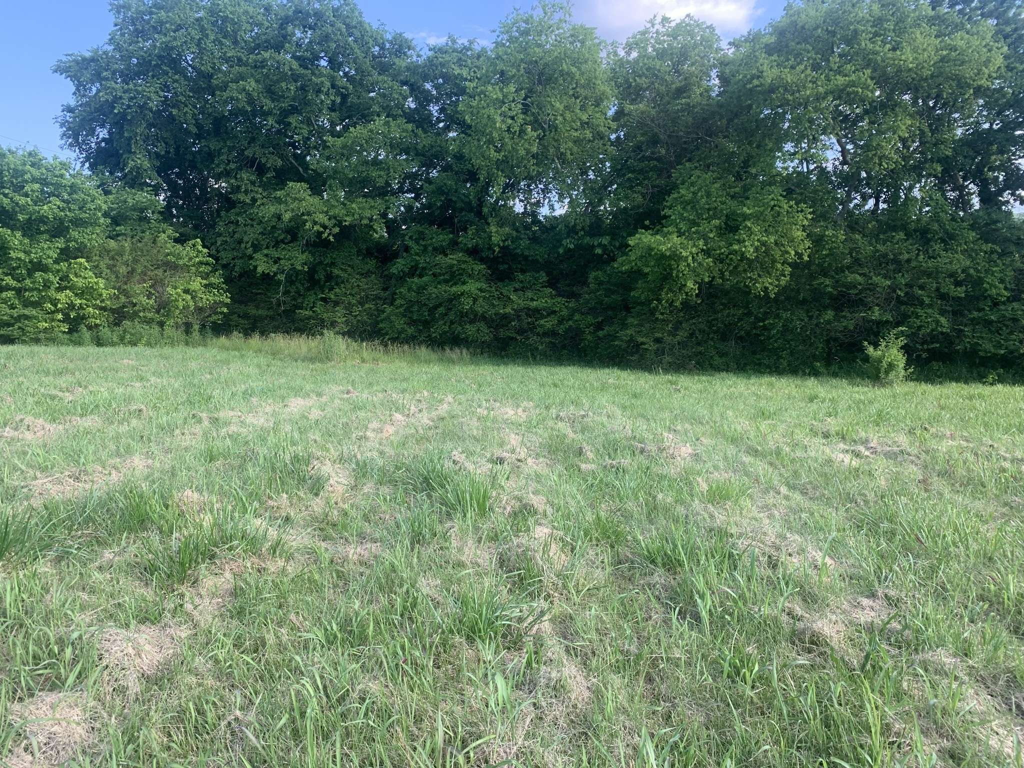 0 Johnson Hill Rd, Mount Pleasant, TN 38474