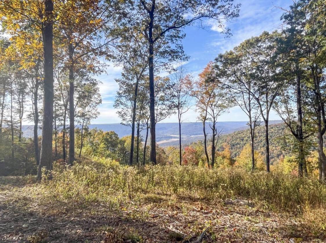 390 Volunteer Street, Jasper, TN 37347
