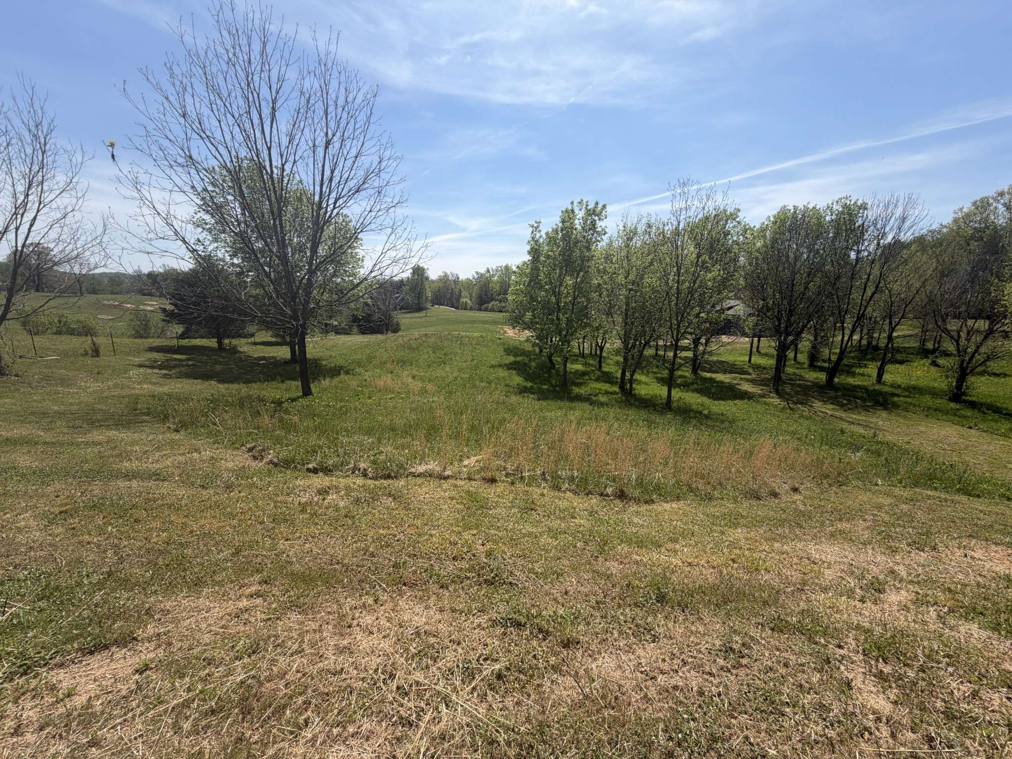 11505 McMinnville Hwy, Walling, TN 38587