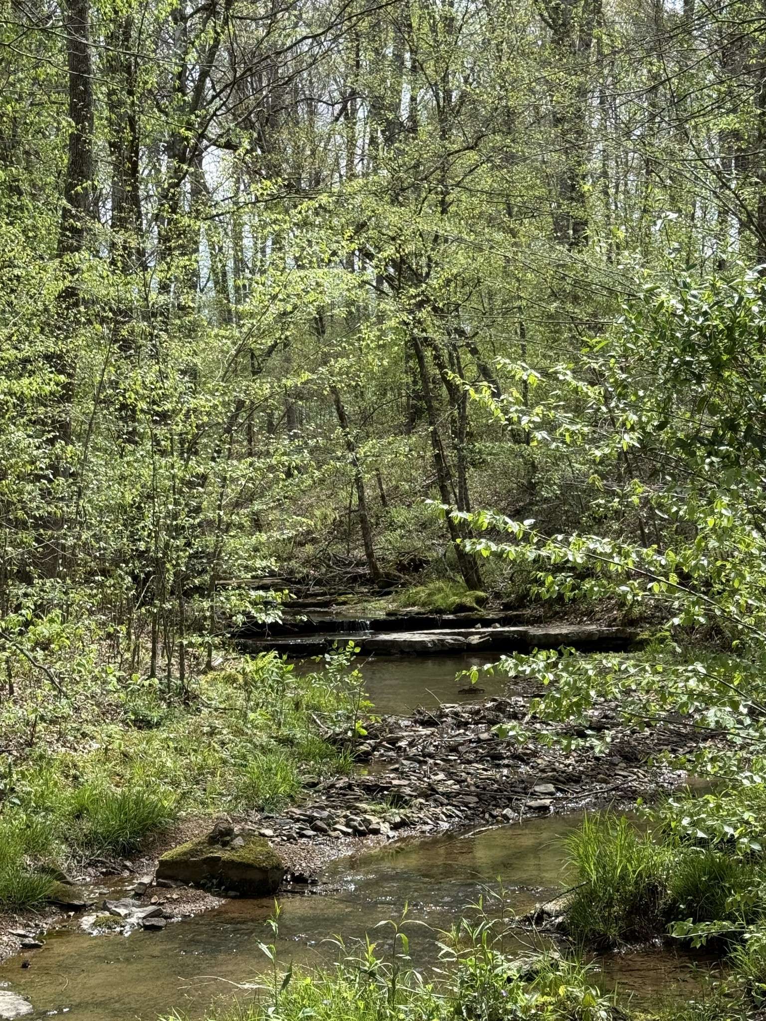 562 Junus Jackson Hollow Rd, Minor Hill, TN 38473